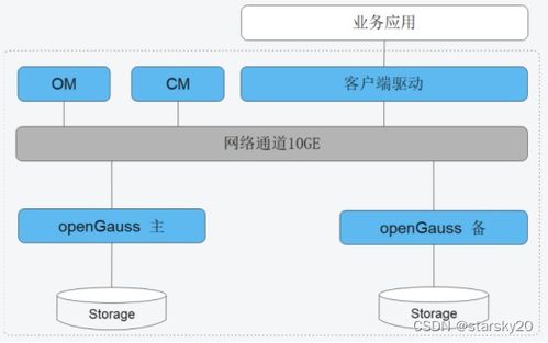 openGauss数据库安装指南与数据处理存储支持服务解析
